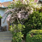 Pensjonat Frutta 3*