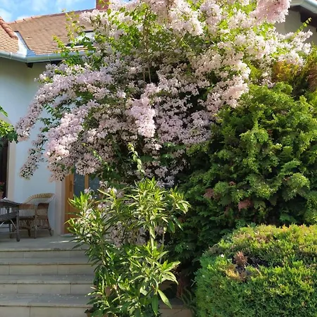 Vendégház Frutta 3*