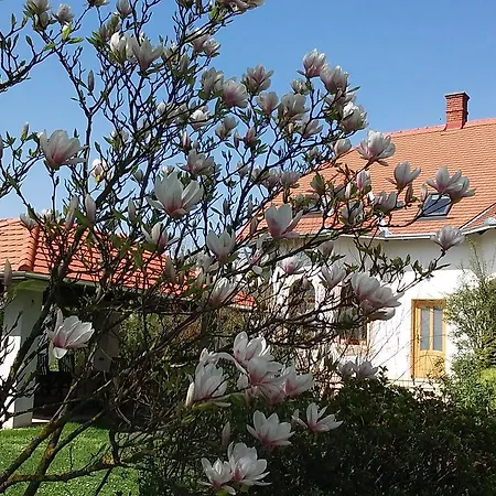 Frutta Pensjonat